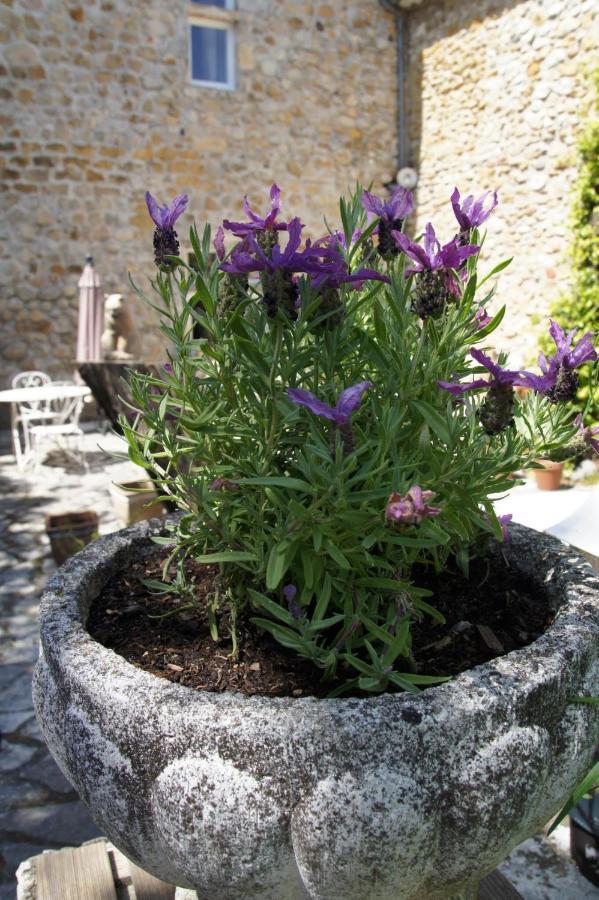 Maison Du Manoir Vallon-Pont-dʼArc Eksteriør billede
